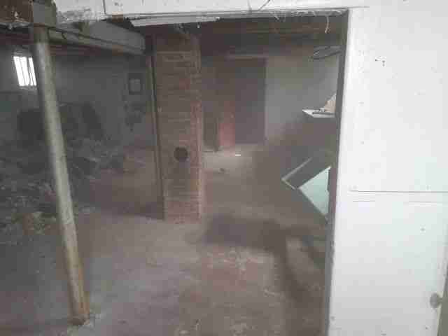 Testing again(69).jpg